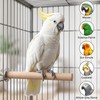3Pcs Wooden Bird Perch – Natural Parrot Perches Stand with