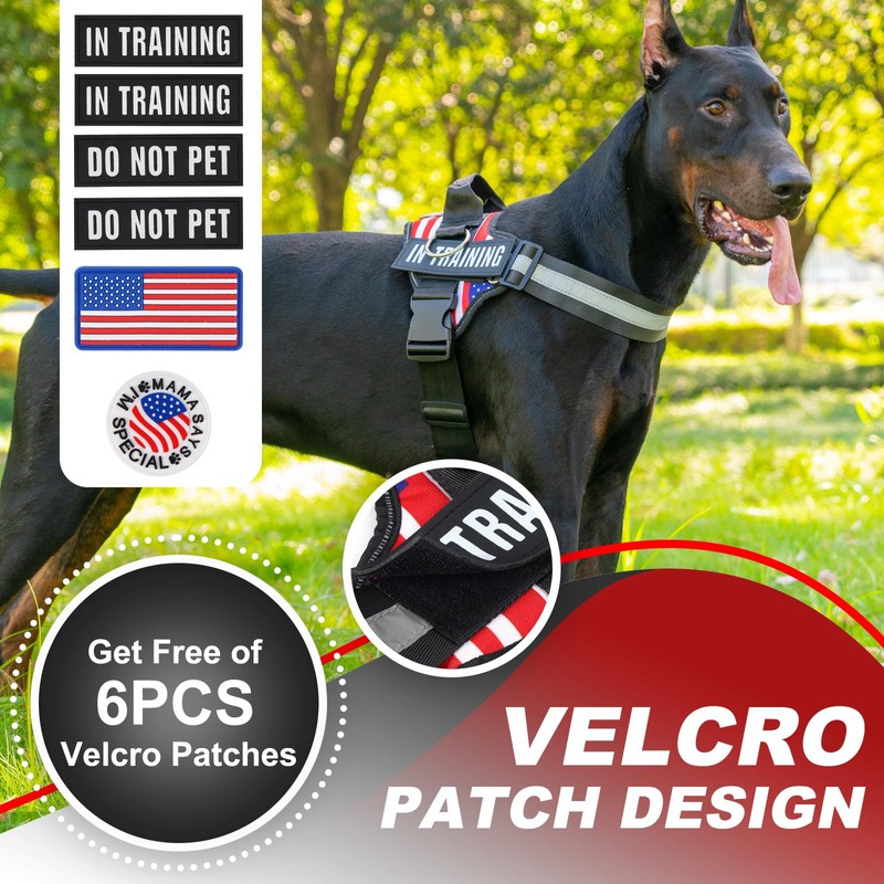 JUSTYEZI Essential Dog Harness with 3 Leash Clips - No-Pull,