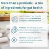 Igennus Probiotics & Prebiotic, Lactobacillus Acidophilus & Bifidobacterium, Live Cultures