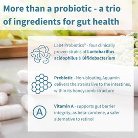 Igennus Probiotics & Prebiotic, Lactobacillus Acidophilus & Bifidobacterium, Live Cultures Complex for Gut Health, 25 Billion CFU, Vegan, Bloating Relief, for Women and Men, 30 Capsules, 1 a-Day