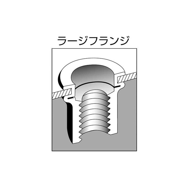 LOBTEX Blind Nut "Nut" (Flat Head, Steel) Eco Pack, Plate