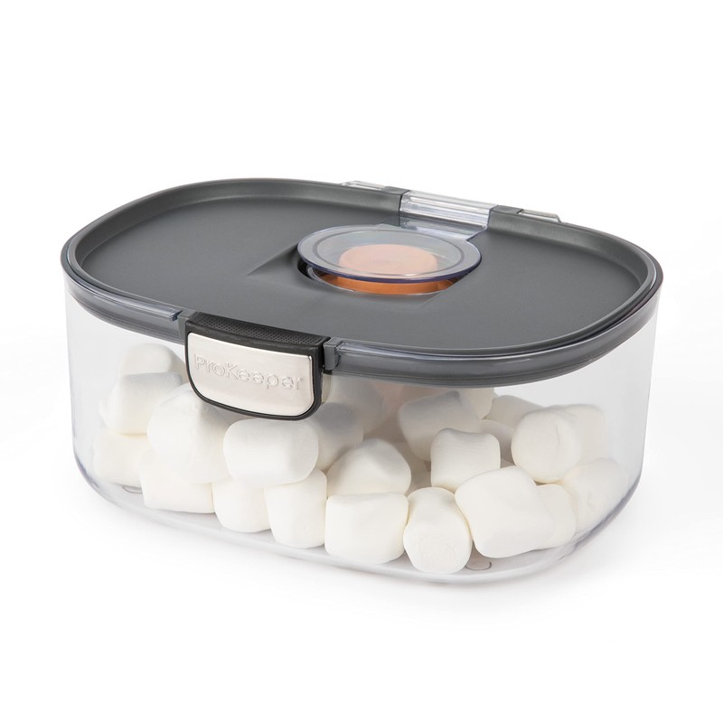 Progressive ProKeeper International Airtight Food Storage Container with Terracotta Disk