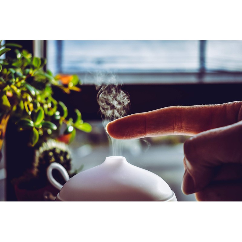 100% Pure Australian Tea Tree Oil | Diffuser Included