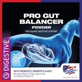 Equine America Pro Gut Balancer | Premium Ready To Use Horse & Pony Supplement | Support For Digestive Function & Performance | 900g