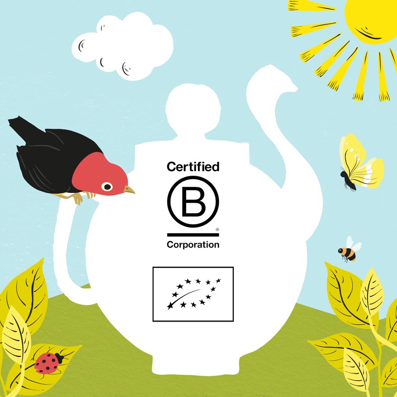 (3 PACK) - Clipper - Organic Lemon & Ginger |