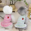 2PCS Charming Striped Dog Dress with Strawberry Patch & Lace
