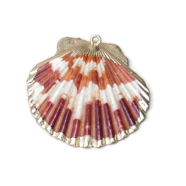 EDG Beads and Gems Seashell - Gold Plated Edge -