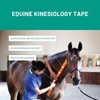 Tmax Canine & Equine Kinesiology Tape | Veterinary Medical Tape