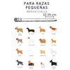 Collar para Perro Ajustable Duradero Elegante Suave Acolchado Transpirable Ajustable