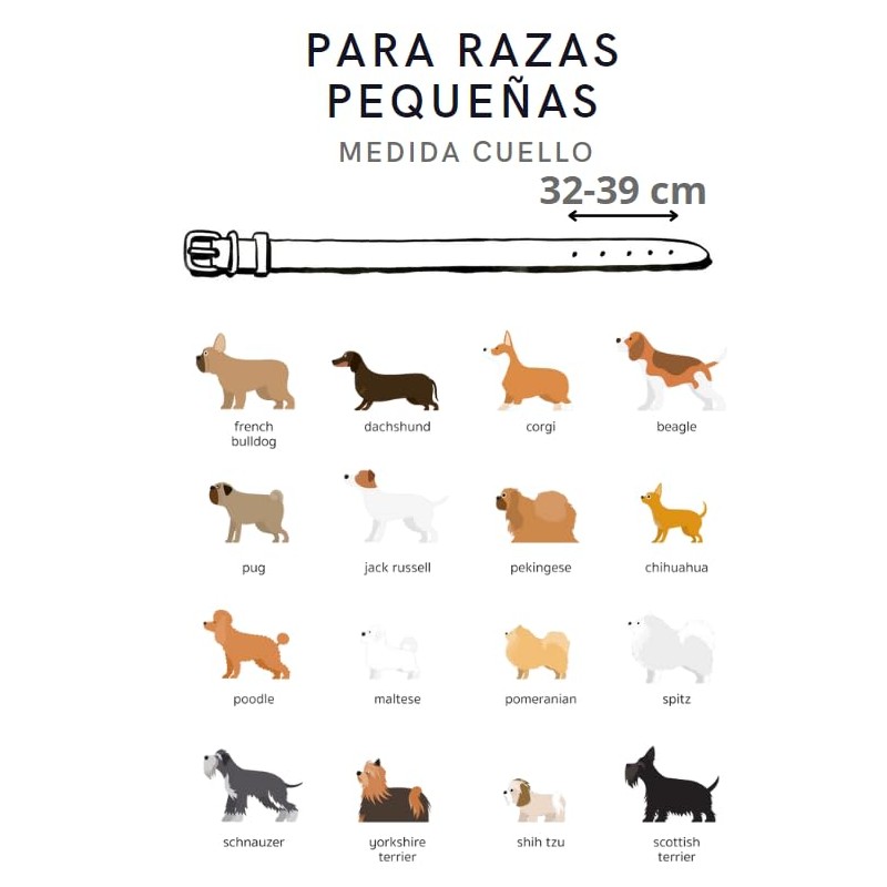 Collar para Perro Ajustable Duradero Elegante Suave Acolchado Transpirable Ajustable