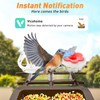 Smart Bird Feeder with Camera Solar Powered, Birdfeeder Cam for