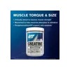 Suplemento En Polvo Gat Creatina X 500g 100 Servicios