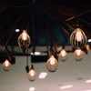 Feit Electric ST19 Vintage Edison LED Light Bulb, 100W Equivalent,