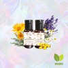 Dúo De Aceites Orgánicos Para Masaje Corporal Con Vitamina E