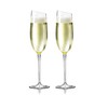 Eva Solo Weinglas Champagner, 20 cl