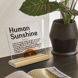 Thank You Gifts for Office Desk Decor, Human Sunshine, Inspirational Acrylic Plaque Gifts for Women, Man