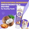 Cat Toothbrush and Toothpaste Kit - - Includes Toothpaste (Coconut