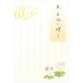 5812870 Postcard Winter Pattern Winter Collection Blooms in Winter Sun 3A 5812870 (28) Pack of 5 Postcards NB NB NB