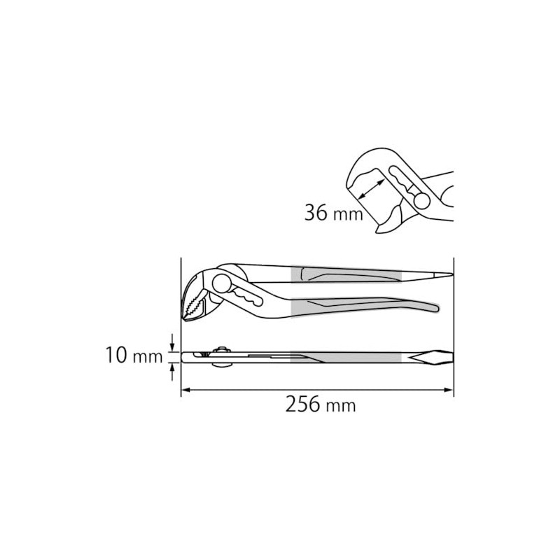 エビ アンギラススケルトン レッド 250mm WP250DR