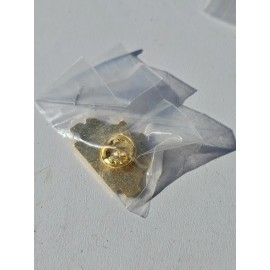 Kentuckiana Antique Bottle & Outhouse Society Pin Kentucky Indania