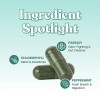 Body Magic Chlorophyll Pill - For Body Odor, Detox &