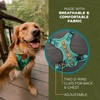 Wilderdog Lightweight Dog Harness with Reflective Straps - Small -