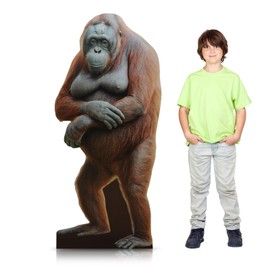 Yookeer 5.2 ft Orangutan Cardboard Stand-up Cutout Life-Size Cardboard Stand up Safari Zoo Theme Party Decoration Backdrop Photo Props for Animal Themed Baby Shower Party Supply