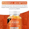 CHANUBITO Turmeric Curcumin Gummies (2 Pack) - Turmeric Curcumin Supplements