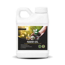 Yield RX Pre-Emulsified Neem Oil with Citronella - Organic, High Azadirachtin Content, Ready-to-Use with Water (8 oz)