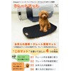 Nyan's Wan's Richell Camping Carry Mat Crate Mat Perfect Size