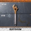 Rust-Oleum Rust Dissolver Trigger Spray Gel | Heavy-Duty Corrosion Remover