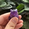 Bacatgem Natural Amethyst Owl Figurines Crystals and Healing Stones,Haped DIY