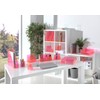 OSCO Neon Acrylic Curved Pen Pot | Pencil Holder |