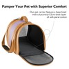 Petradise Cat, Dog Carrier for Medium Large Cats Puppies up