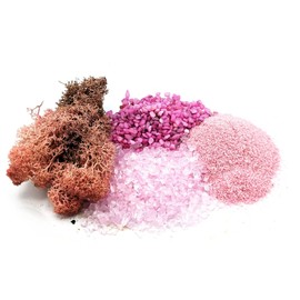 Pink Lovers Terrarium/Houseplant Decoration Kit