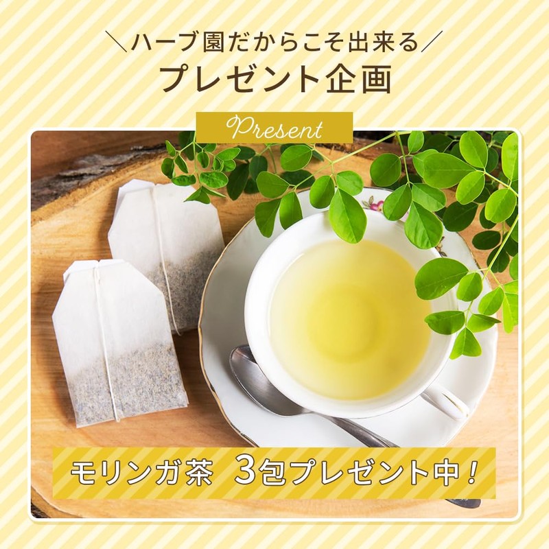 有機JAS原料　国産モリンガパウダー 粉末カプセル 90個（約２ヵ月分）［モリンガ茶付き］離島のハーブ園 しまのだいち