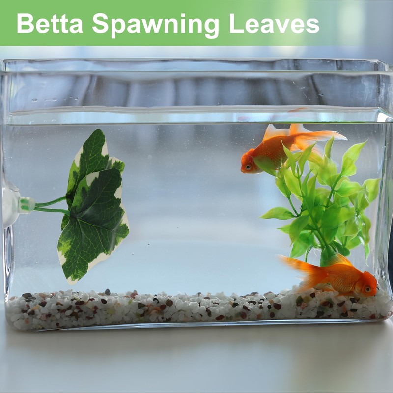 CAPASTEC Betta Fish Leaf, Natural Habitat Simulation for Betta Spawnings