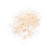 Kanebo Smooth Feather Powder Refill, 0.6 oz (18 g)