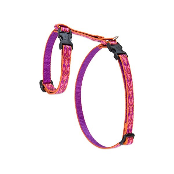 LupinePet Originals 1/2" Alpen Glow 12-20" H-style Harness for Small Pets