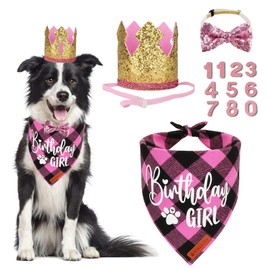 ADOGGYGO Dog Birthday Party Supplies, Pink Plaid Birthday Girl Dog Bandana, Golden Pet Party Hat with Numbers, Bowtie for Medium Large Pets (Large)