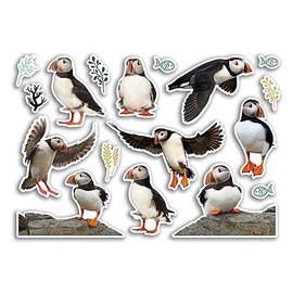 A5 Sticker Sheet Puffin Vinyl Stickers - Birds Wildlife Animals Scrapbooking Travel Decoration Label Friend Girls Boys Aesthetic #80789