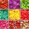 9000Pcs Fruit Nail Art Slices Fruit Slices for DIY 3D