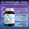 Nad Resveratrol Ingredientes Nicotinamida Ribosa Acido Alfa Lipoico Betaina Quercetina