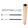 A-Premium Tailgate Rear Hatch Lift Supports Shock Struts Compatible with