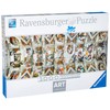 RAVENSBURGER 15062 - Puzzle 10