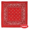Red Bandana Party Accessory (1 count)