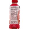 SUEROX Zero Sugar Electrolyte Drink for Hydration and Recovery, Strawberry-Kiwi