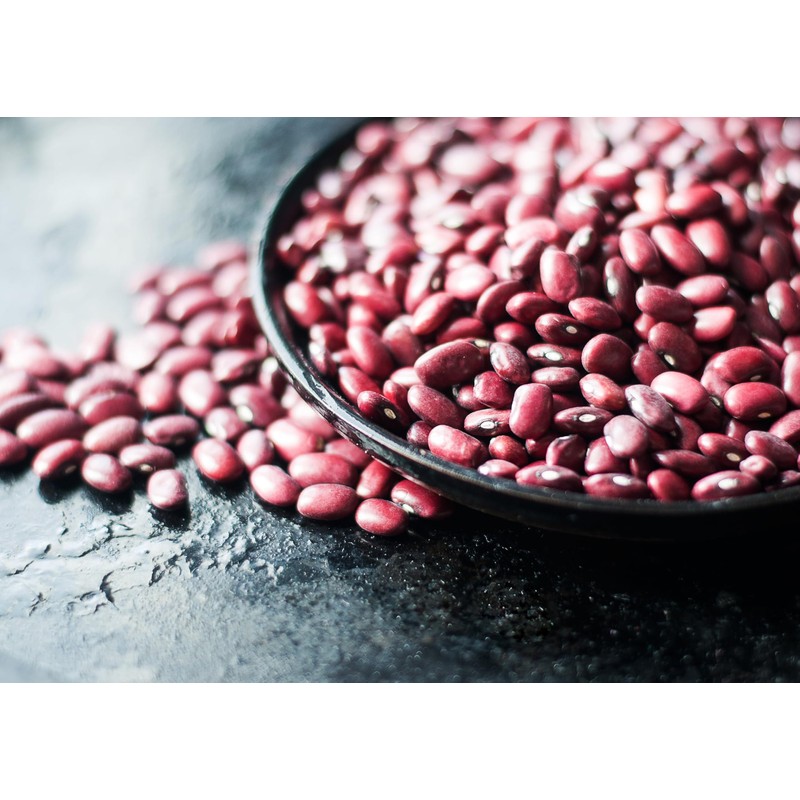 Food to Live Organic Adzuki Sprouting Beans, 5 Pounds –