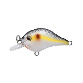 BILL LEWIS Gnat Micro-Crankbait Lifelike Fishing Lure 1.5" Length 1/8 Oz with Mustad Triple Grip Hooks, Sneaky SHAD