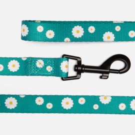 CollarDirect Floral Dog Leash Nylon Pattern Flower Print Adjustable Pet Leashes for Dogs Small Medium Large Puppy (S, Aquamarine)